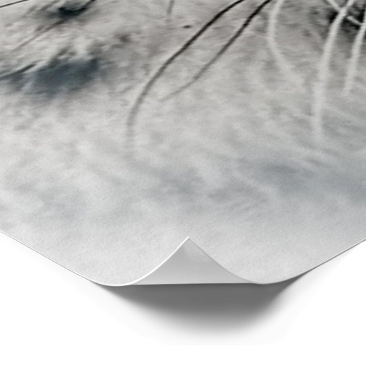 Poster Léopard de neige blanc exotique (Coin)