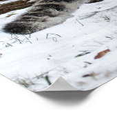 Poster Léopard De Neige Étapes Oiseaux (Coin)