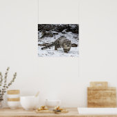 Poster Léopard De Neige Étapes Oiseaux (Cuisine)