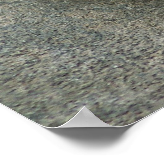 Poster Leopard de neige - Sweet Dreams (Coin)