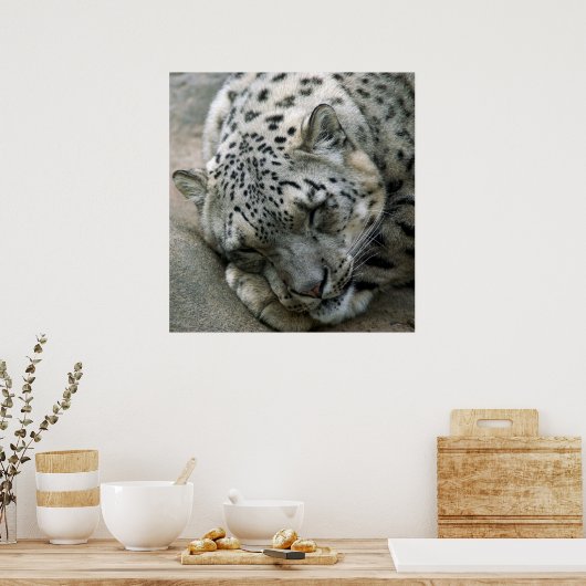 Poster Leopard de neige - Sweet Dreams (Cuisine)