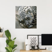 Poster Leopard de neige - Sweet Dreams (Bureau à domicile)