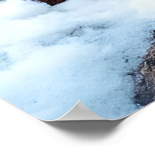 Poster Léopard des neiges (Coin)