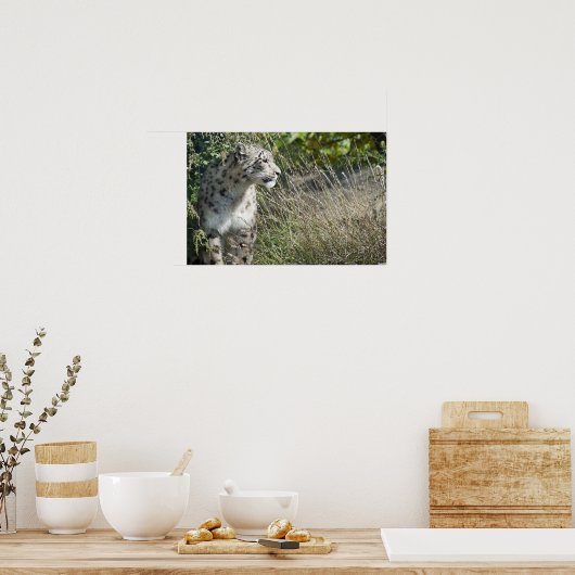 Poster léopard des neiges (Cuisine)