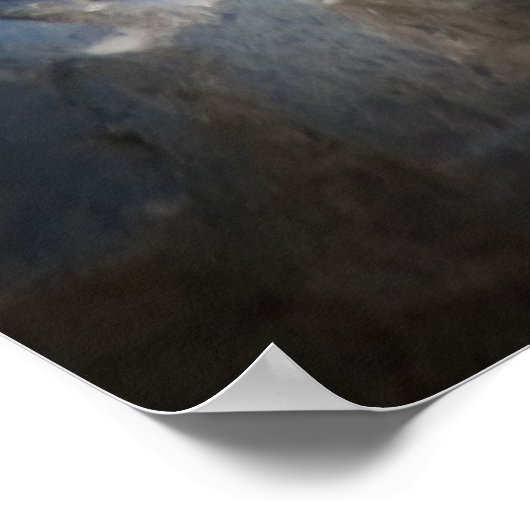 Poster Léopard des neiges (Coin)