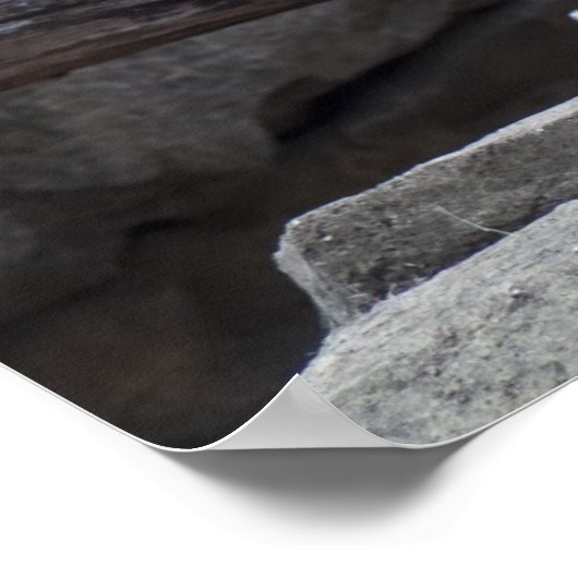 Poster Léopard des neiges (Coin)