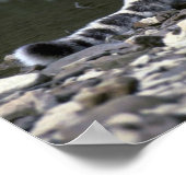 Poster léopard des neiges au bord de la rivière (Coin)