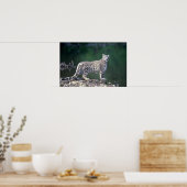 Poster Léopard des neiges au bord de la rivière (Cuisine)