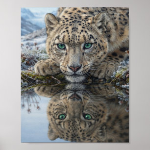 Poster Léopard des neiges aux yeux verts de près, reflet