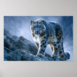 Poster Léopard des neiges sur le sommet d'une montagne –