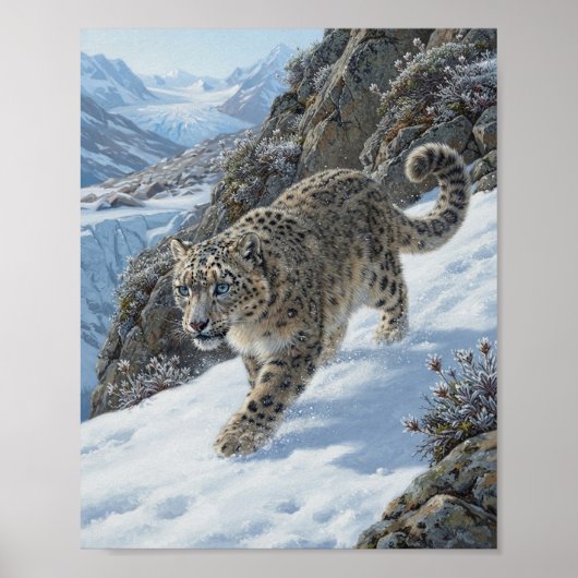 Poster Léopard des neiges traquant sur la falaise enneigé (Devant)