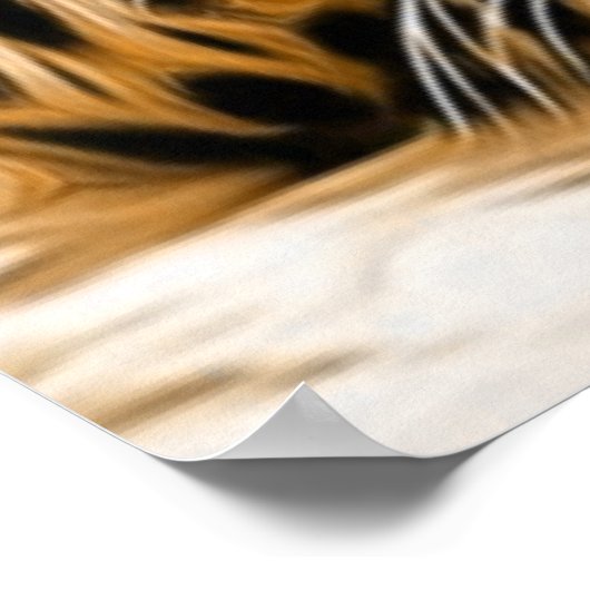 Poster Leopard des yeux bleus (Coin)