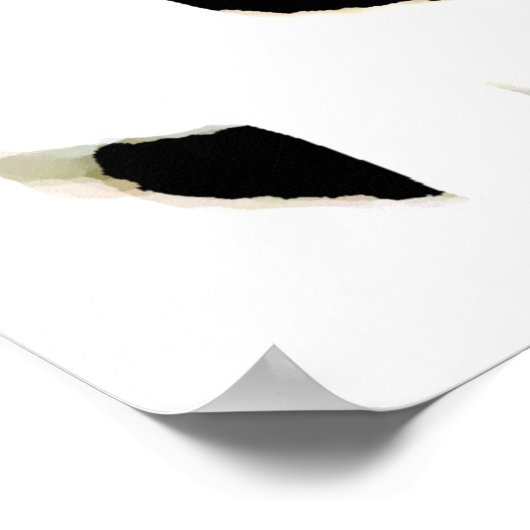 Poster Leopard Eyes - Pop Art Wild Animaux (Coin)