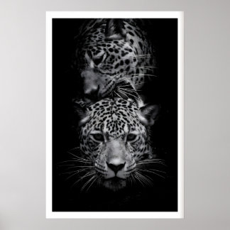 Poster Leopard Faces Print Black and White Wildlife Art