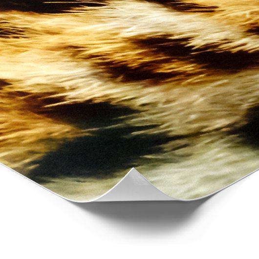 Poster Leopard Fur (Coin)