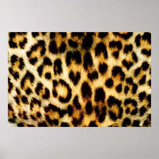 Poster Leopard Fur (Devant)