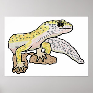 Poster Leopard Gecko