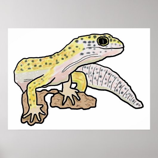 Poster Leopard Gecko (Devant)