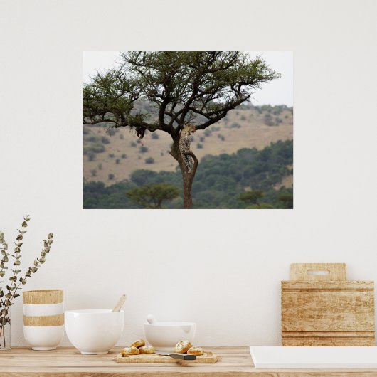 Poster Leopard in Tree - Safari Wildlife Fine Art Imprime (Cuisine)
