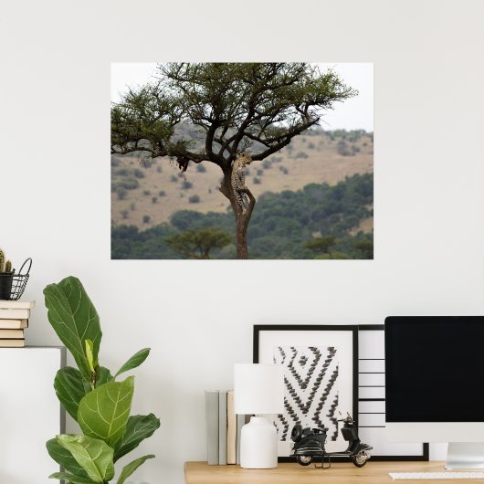 Poster Leopard in Tree - Safari Wildlife Fine Art Imprime (Bureau à domicile)