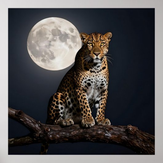 Poster Léopard majestueux et pleine lune (Devant)