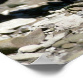 Poster Léopard-noir phasé (mouillé de la rivière) (Coin)