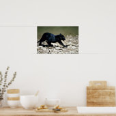 Poster Léopard-noir phasé (mouillé de la rivière) (Cuisine)