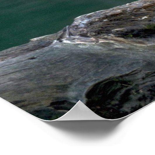 Poster Léopard obscurci (Coin)