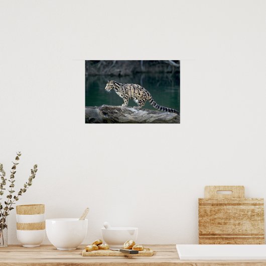 Poster Léopard obscurci (Cuisine)