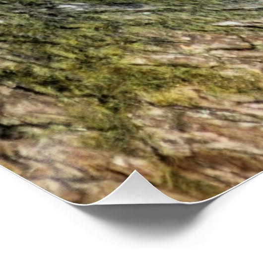 Poster Leopard posé dans un arbre (Coin)