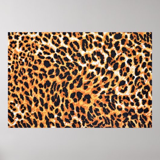 Poster léopard pour as backgroleopard, pattern, print, (Devant)