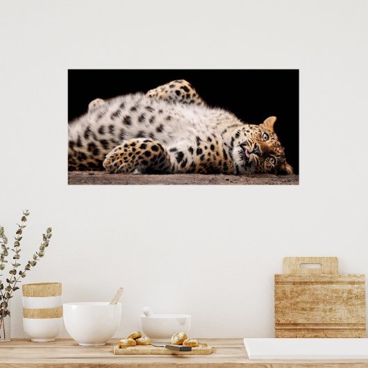 Poster Léopard qui se pose sur son dos (Cuisine)
