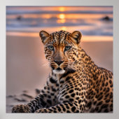 Poster Léopard sur la plage (Devant)