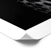 Poster Leopard Wall Art Black and White Photography (Coin)