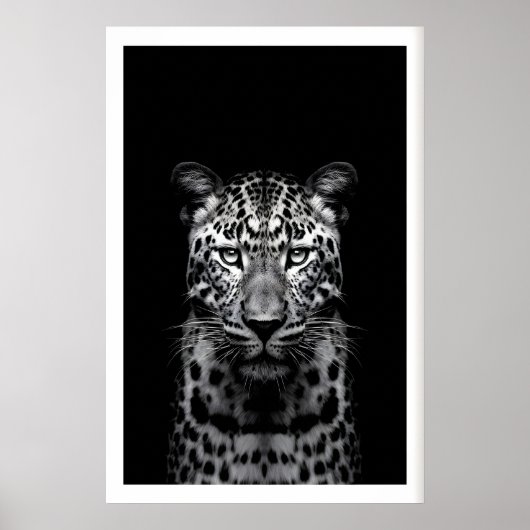 Poster Leopard Wall Art Black and White Photography (Devant)