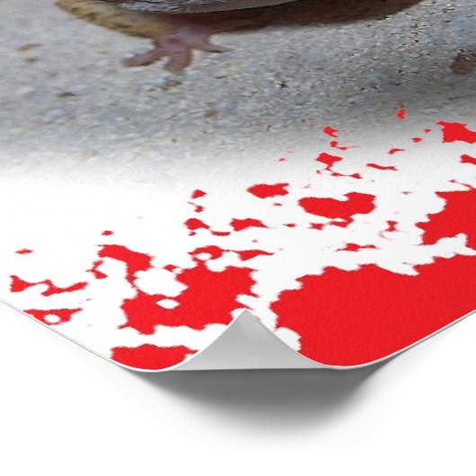 Poster Léopard Winking (Coin)