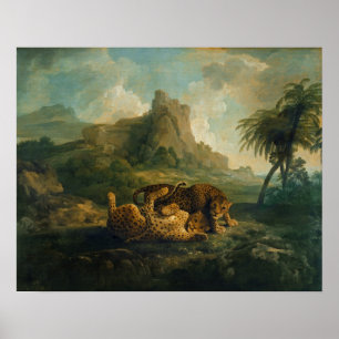 Poster Léopards de George Stubbs au jeu, c.1763-8