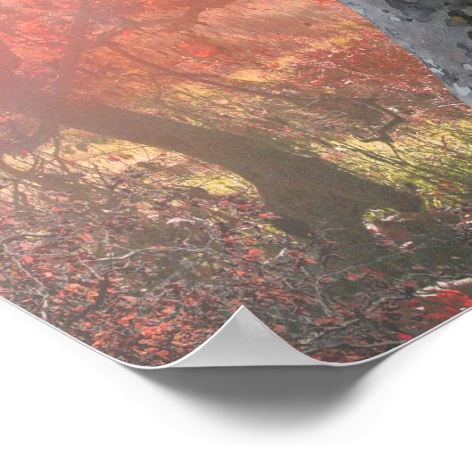 POSTER LEOPARDS DE SPLENDORA (Coin)