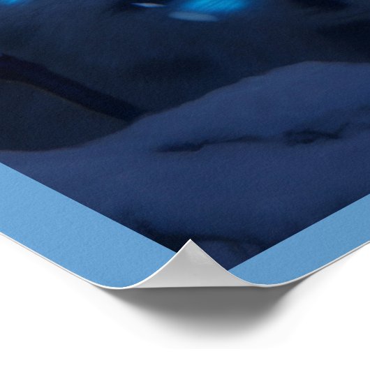 Poster Leopard's Roar (Coin)