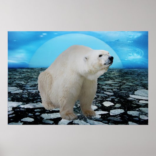 Poster L'époque des ours polaires (Devant)