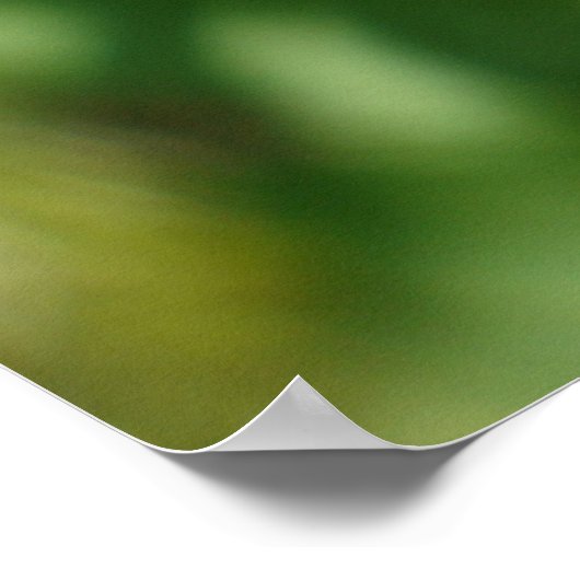 Poster Leptinotarsa decemlineata (Coin)