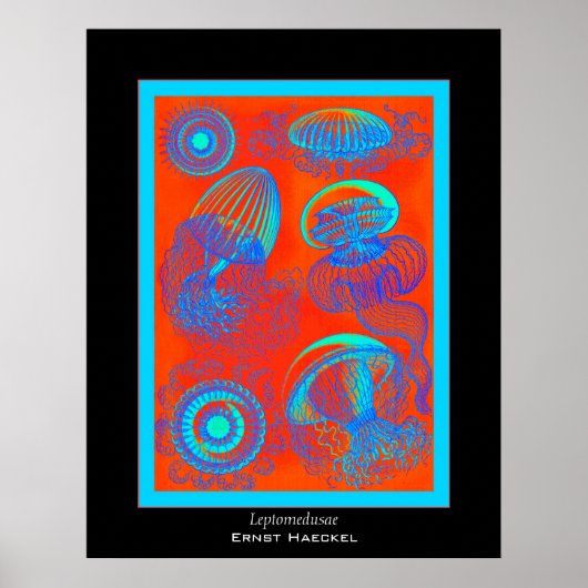 Poster Leptomedusae ~ Ernst Haeckel Imprimer (Devant)