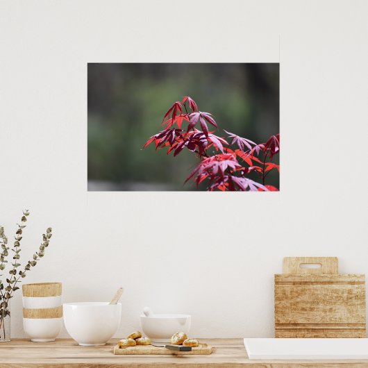 Poster L'érable, (Cuisine)