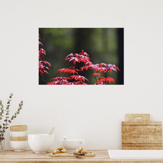 Poster L'érable, (Cuisine)