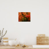 Poster L'érable japonais à l'automne (Cuisine)