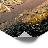 Poster Les 10 Plaies De L'Egypte - Anglais & Hébreu (Coin)