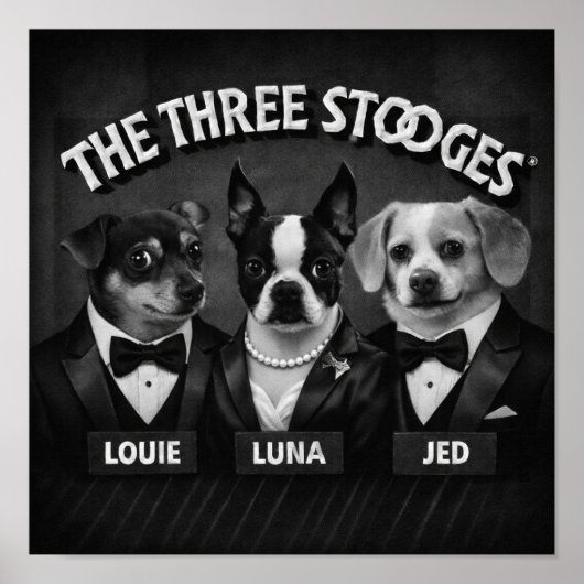 Poster "Les 2 Dooges" (Devant)