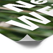 Poster Les abeilles ont besoin de mauvaises herbes (Coin)