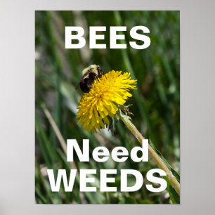 Poster Les abeilles ont besoin de mauvaises herbes
