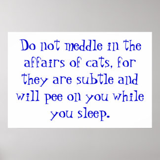 Poster Les affaires des chats